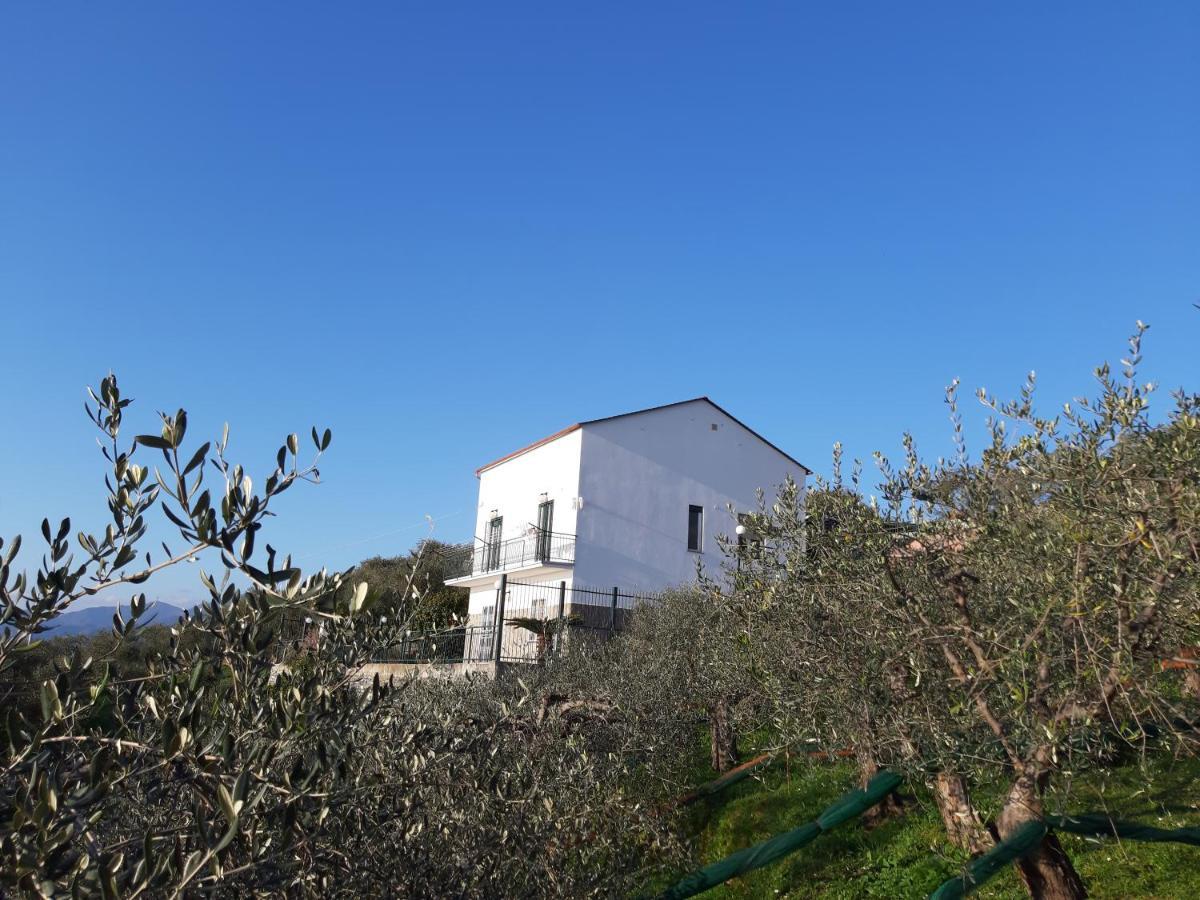 Sarina House Ocean View Villa Lavagna Exterior foto